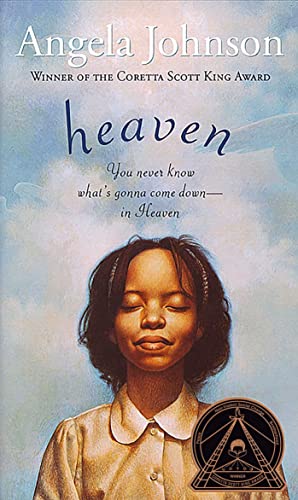 Heaven book cover