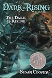 The Dark is Rising
