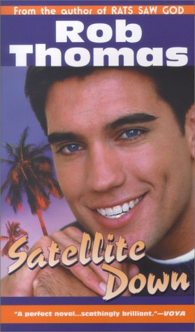 Satellite Down book cover