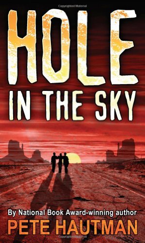 Hole in the Sky book cover