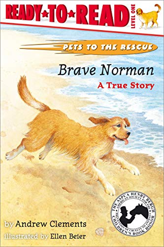 Brave Norman book cover
