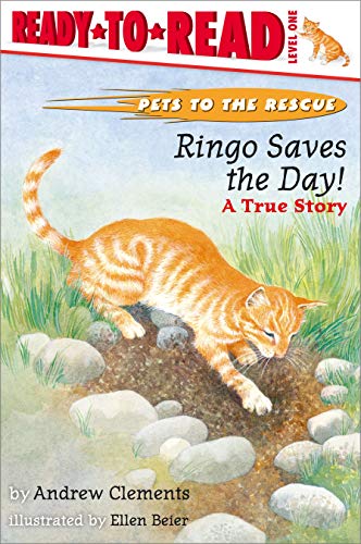 Ringo Saves The Day! book cover