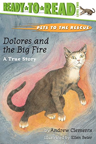 Dolores and the Big Fire book cover