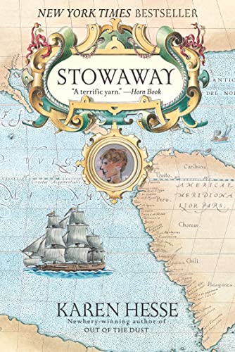 The Stowaway book cover