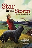 Star In The Storm Aladdin Historical Fiction