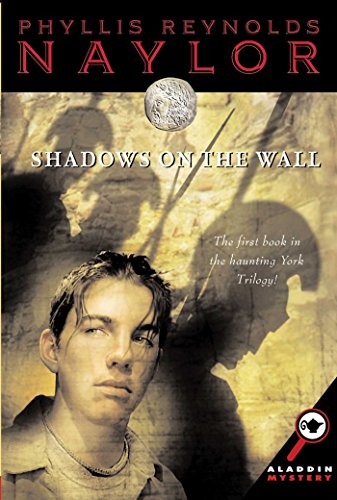 Shadows on the Wall book cover