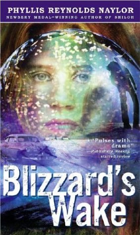 Blizzard's Wake book cover