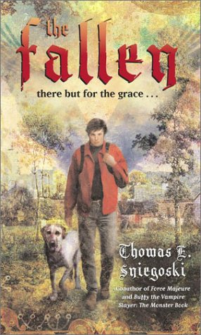 Cover of The fallen.