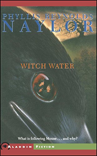 Witch Water book cover