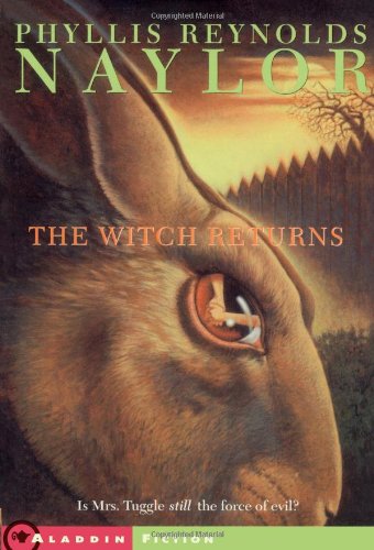 The Witch Returns book cover