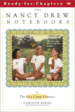 The Day Camp Disaster book cover