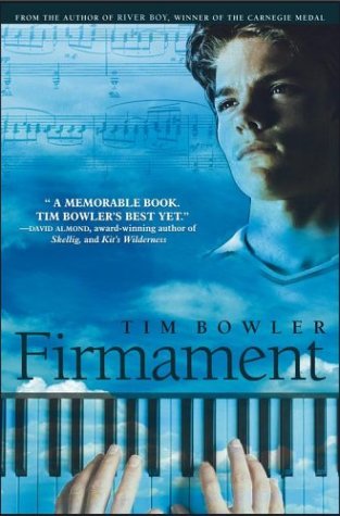 Firmament book cover