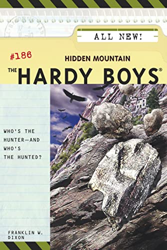 Hidden Mountain book cover