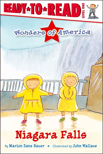 Niagara Falls book cover