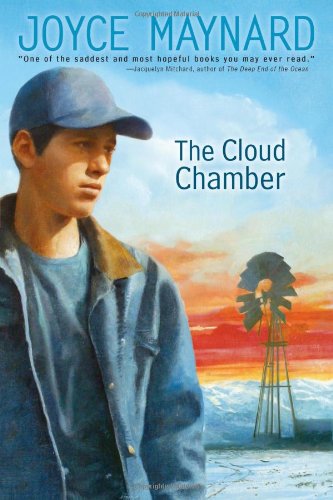 The Cloud Chamber book cover