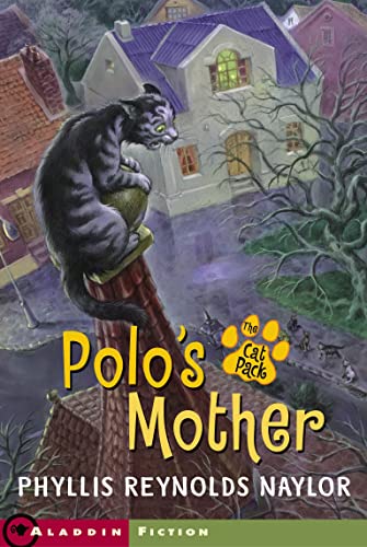 Polo's Mother book cover