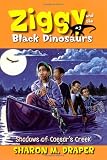 Amazon cover image