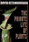 The Private Life of Plants