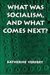 What Was Socialism, and What Comes Next? (Princeton Studies in Culture/Power/History)
