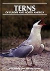 Terns of Europe and North America