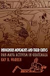 Indigenous Movements and Their Critics