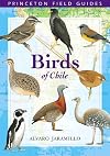 Birds of Chile: Including the Antarctic Peninsula, the Falkland Islands and South Georgia