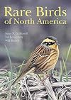 Rare Birds of North America