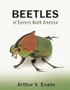 Beetles of Eastern North America