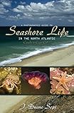 A Photographic Guide To Seashore Life In The North Atlantic Canada To Cape Cod