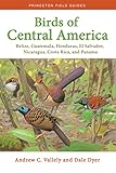 Birds Of Central America Belize Guatemala Honduras El Salvador Nicaragua Costa Rica And Panama Princeton Field Guides 136