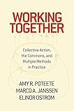Working Together Collective Action The Commons And Multiple Methods In Practice