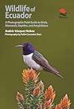 Wildlife Of Ecuador A Photographic Field Guide To Birds Mammals Reptiles And Amphibians