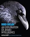 Bird Brain: An Exploration of Avian Intelligence