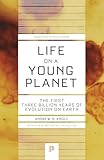 Life On A Young Planet The First Three Billion Years Of Evolution Of Earth