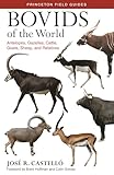 Bovids Of The World Antelopes Gazelles Cattle Goats Sheep And Relatives