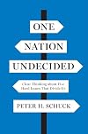 One Nation Undecided: Clear Thinking about Five Hard Issues That Divide Us