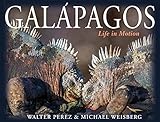 Galpagos Life In Motion