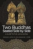 Two Buddhas Seated Side By Side A Guide To The Lotus Sutra