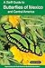 A Swift Guide to Butterflies of Mexico and Central America