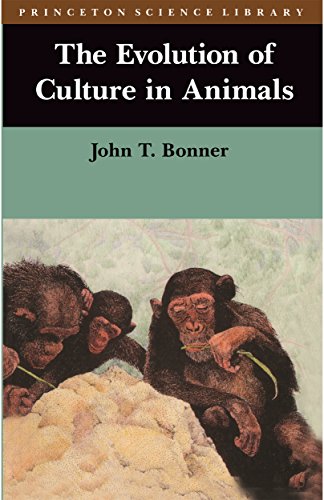Cover of Evolution of Culture in Animals