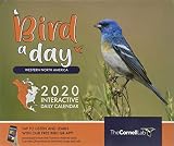 Bird A Day Western North America 2020 Interactive Daily Calendar