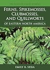 Ferns, Spikemosses, Clubmosses, and Quillworts of Eastern North America (Princeton Field Guides, 150)