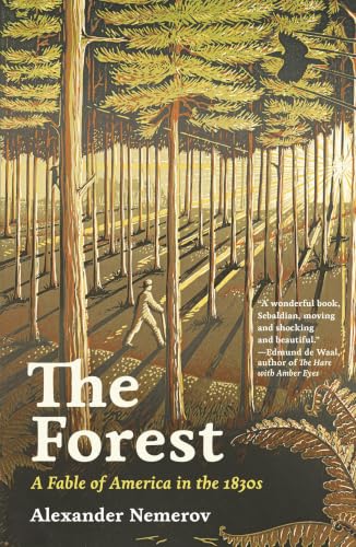 The Forest book cover