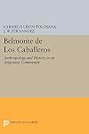 Belmonte de los Caballeros : anthropology and history in an Aragonese community
