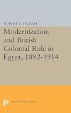 Modernization and British Colonial Rule in Egypt, 1882-1914 (Princeton Studies on the Near East)
