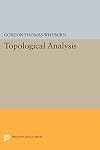 Topological analysis