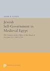 Jewish Self-Government in Medieval Egypt: The Origins of the Office of the Head of the Jews, ca. 1065-1126 (Princeton Studies on the Near East)