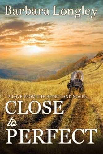 Close to Perfect book cover