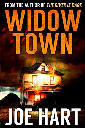 Widow Town book cover