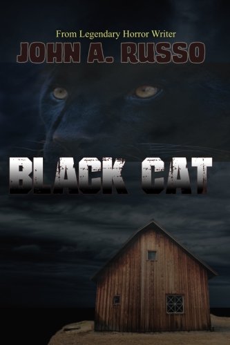 Black Cat book cover